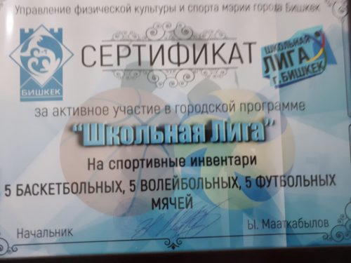 СОШ №42. Наши спортсмены. Биз сыймыктанган балдар.